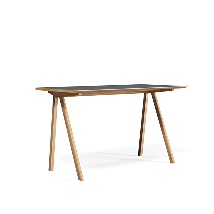 Bike - Themed Linoleum Desk - Linerora